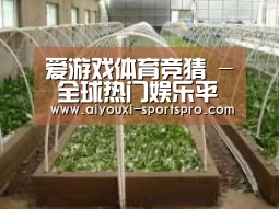 环境展示五
