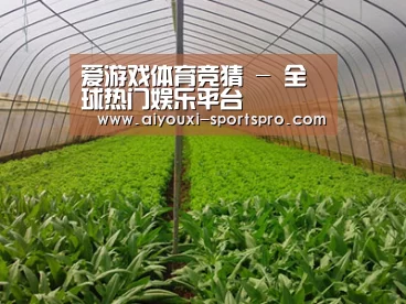 种植基地四
