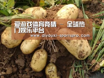 种植基地六