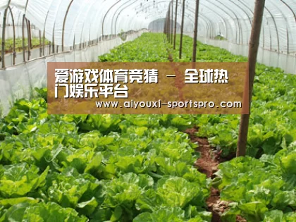 种植基地五