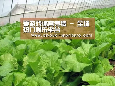 种植基地一