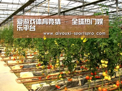 种植基地二(图1)