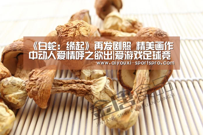 爱游戏体育赛事直播