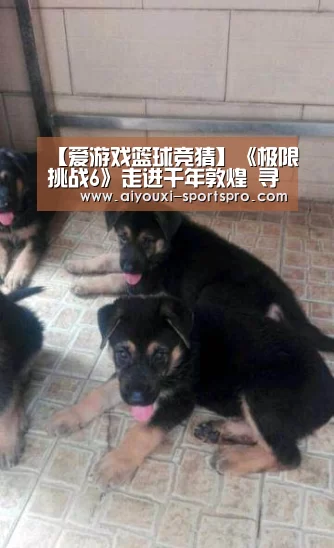 爱游戏篮球竞猜
