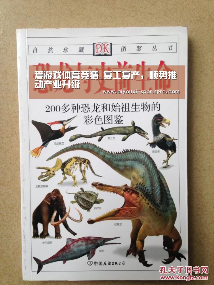 爱游戏体育赛事直播