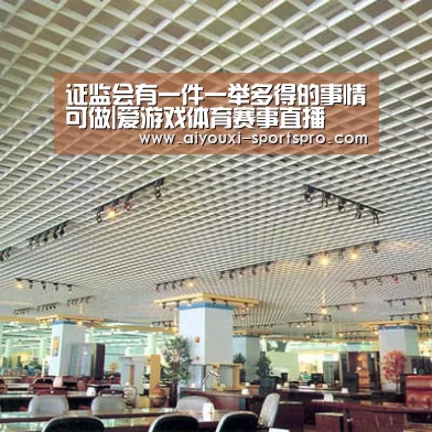 证监会有一件一举多得的事情可做|爱游戏体育赛事直播(图4) 爱游戏体育竞猜
