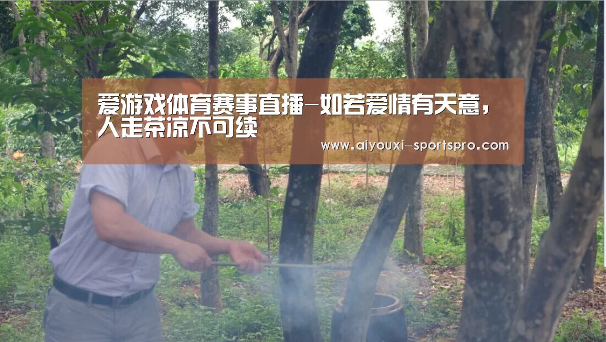 爱游戏体育赛事直播