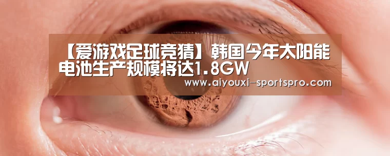 爱游戏体育竞猜
