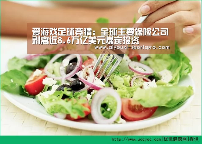 爱游戏足球竞猜:全球主要保险公司剥离近8.6万亿美元煤炭投资(图1) 爱游戏篮球竞猜