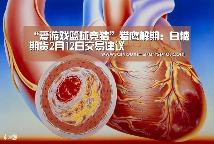“爱游戏篮球竞猜”猎鹰解期:白糖期货2月12日交易建议(图1) 爱游戏篮球竞猜